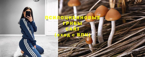 мефедрон мука Заводоуковск