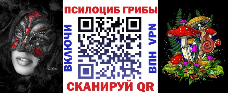 Купить закладки  Высоцк  Псилоцибиновые грибы Psilocybe 